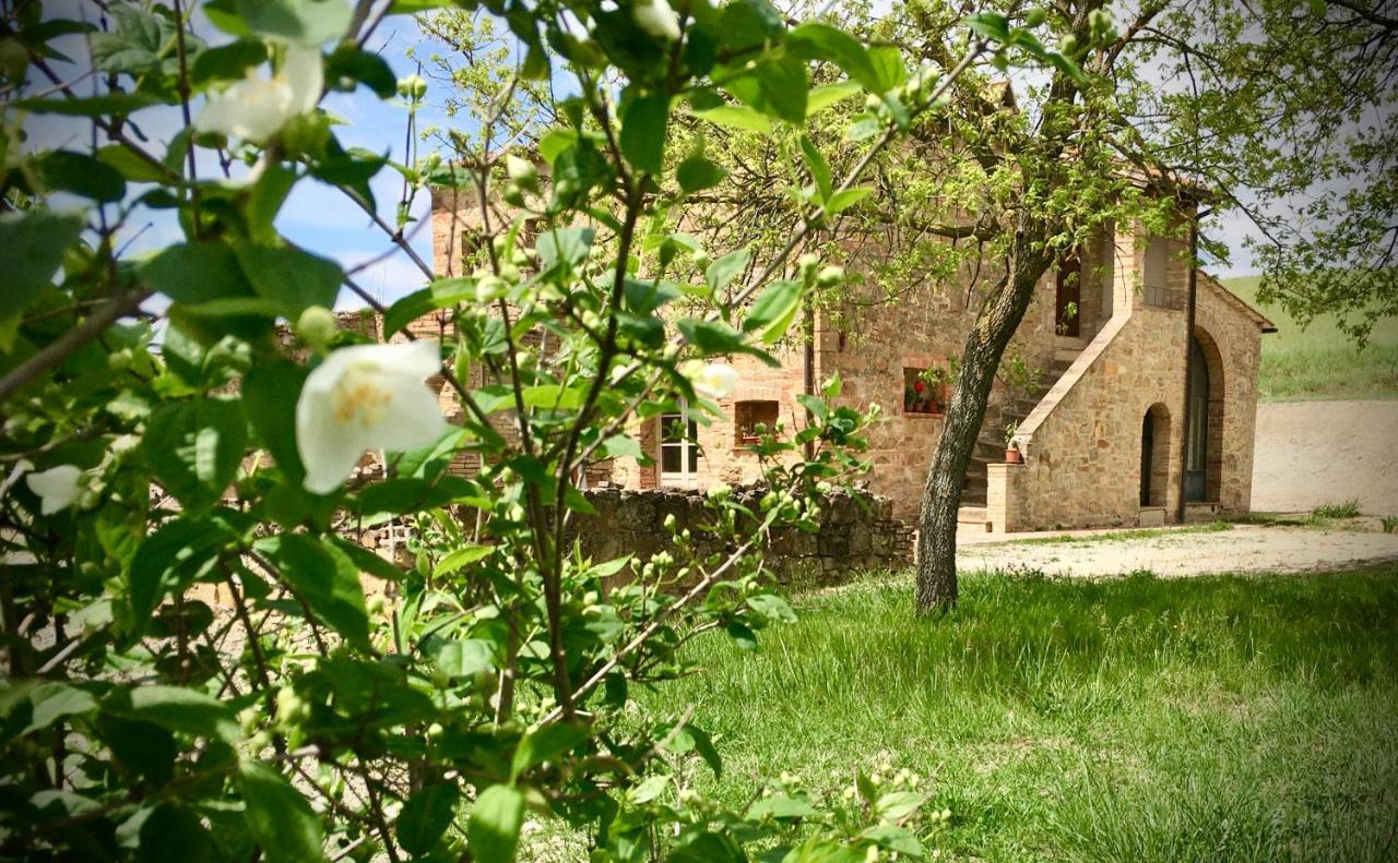 Vento D'Orcia Villa Pienza Exteriör bild