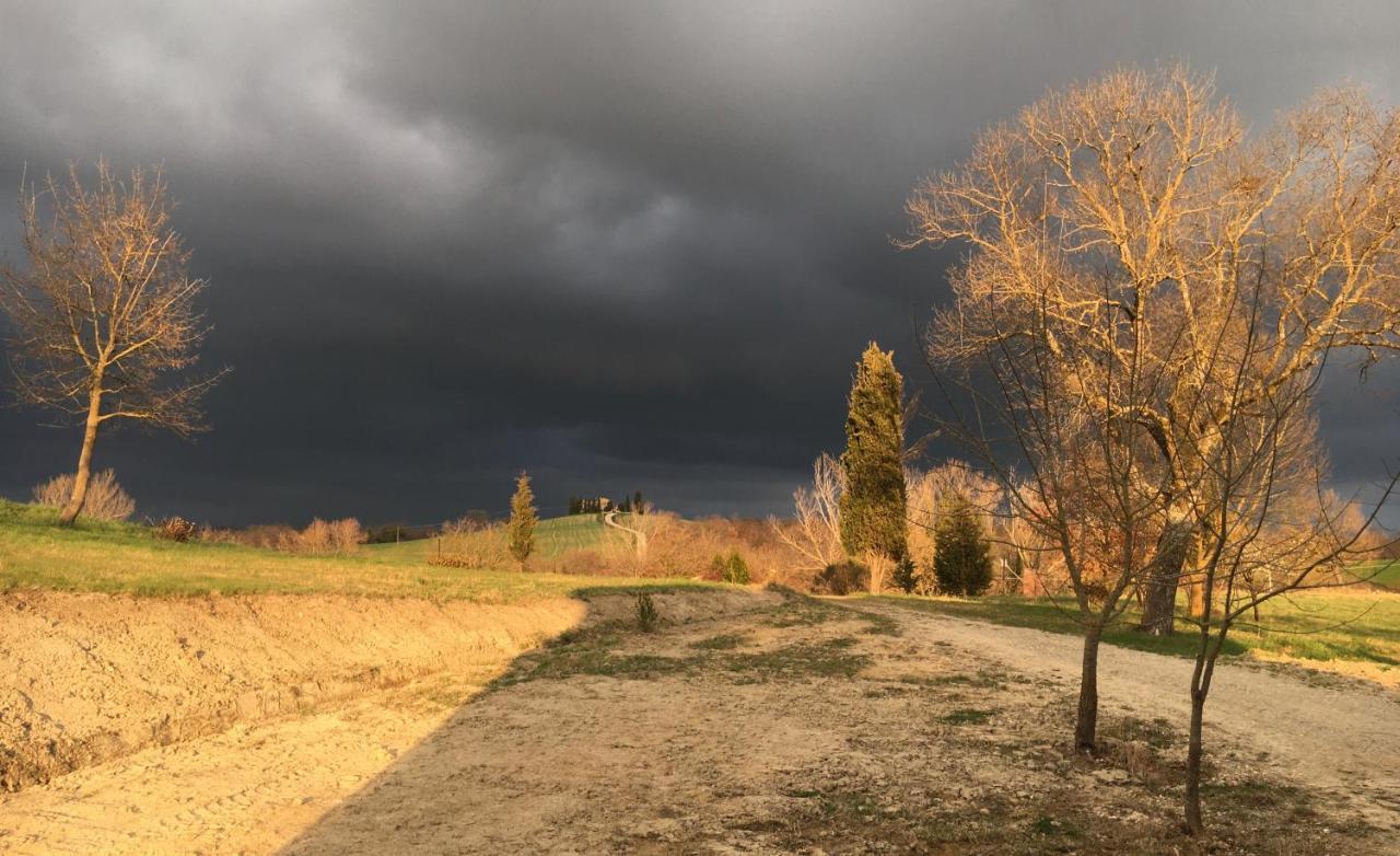Vento D'Orcia Villa Pienza Exteriör bild