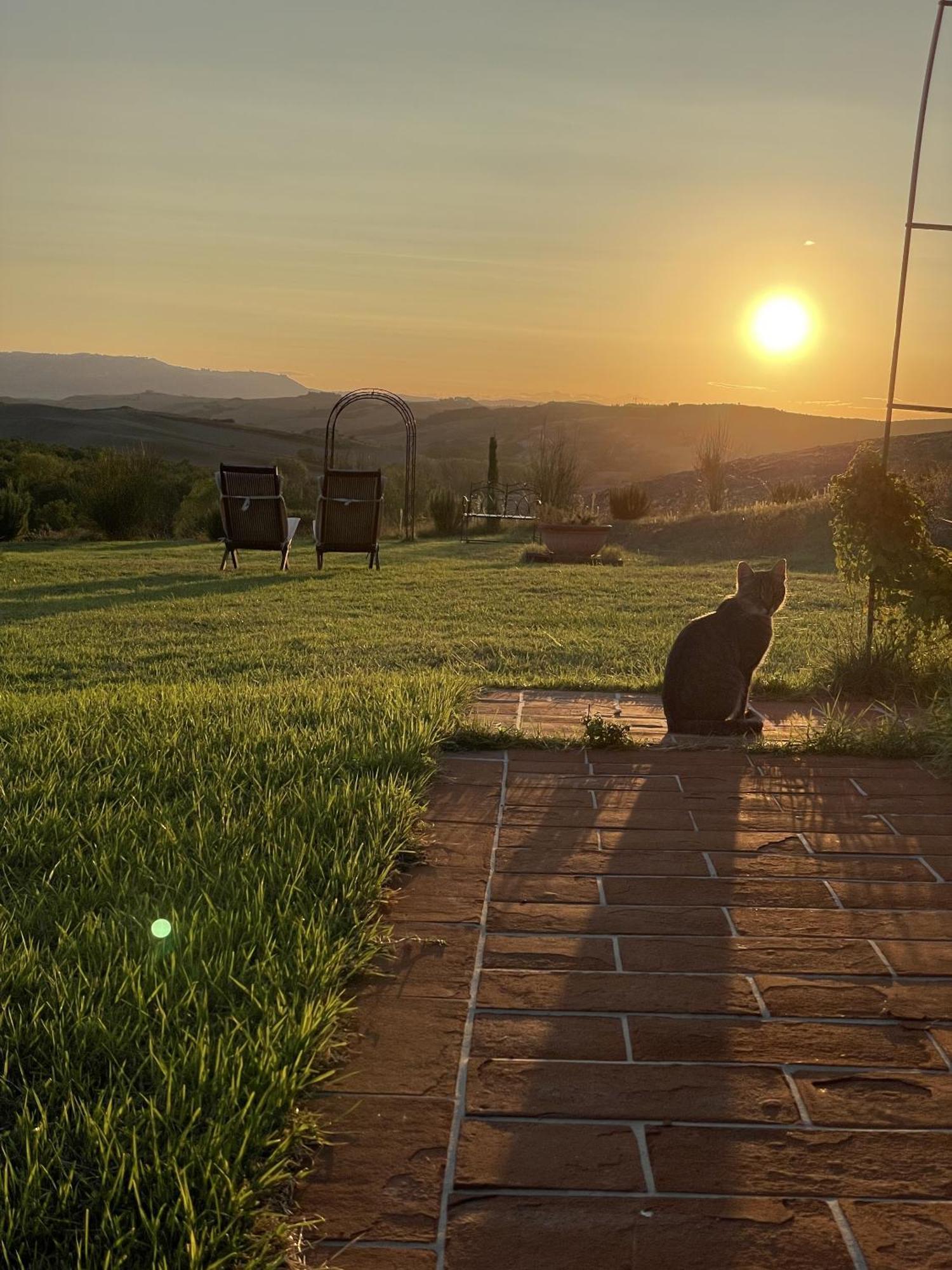 Vento D'Orcia Villa Pienza Exteriör bild