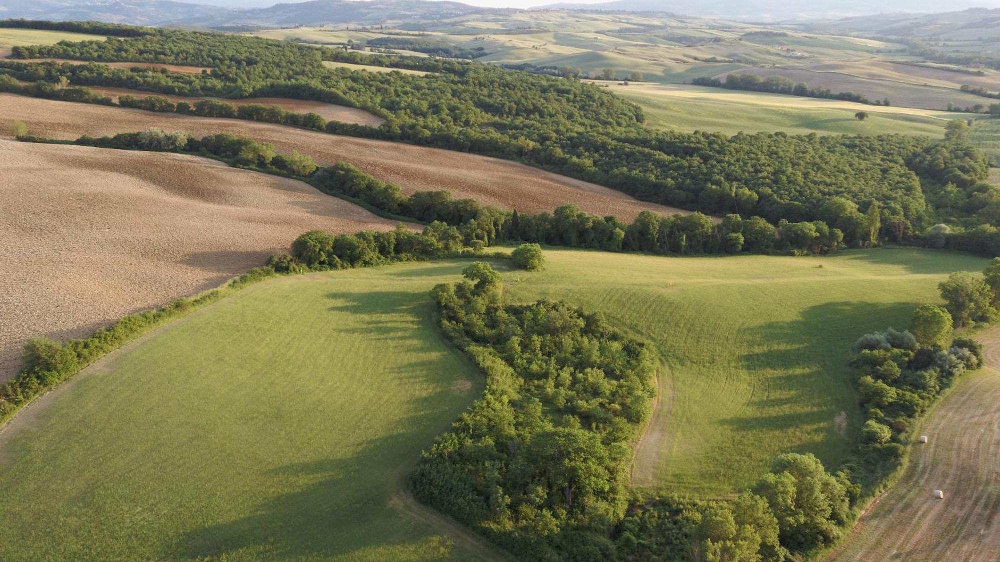 Vento D'Orcia Villa Pienza Exteriör bild