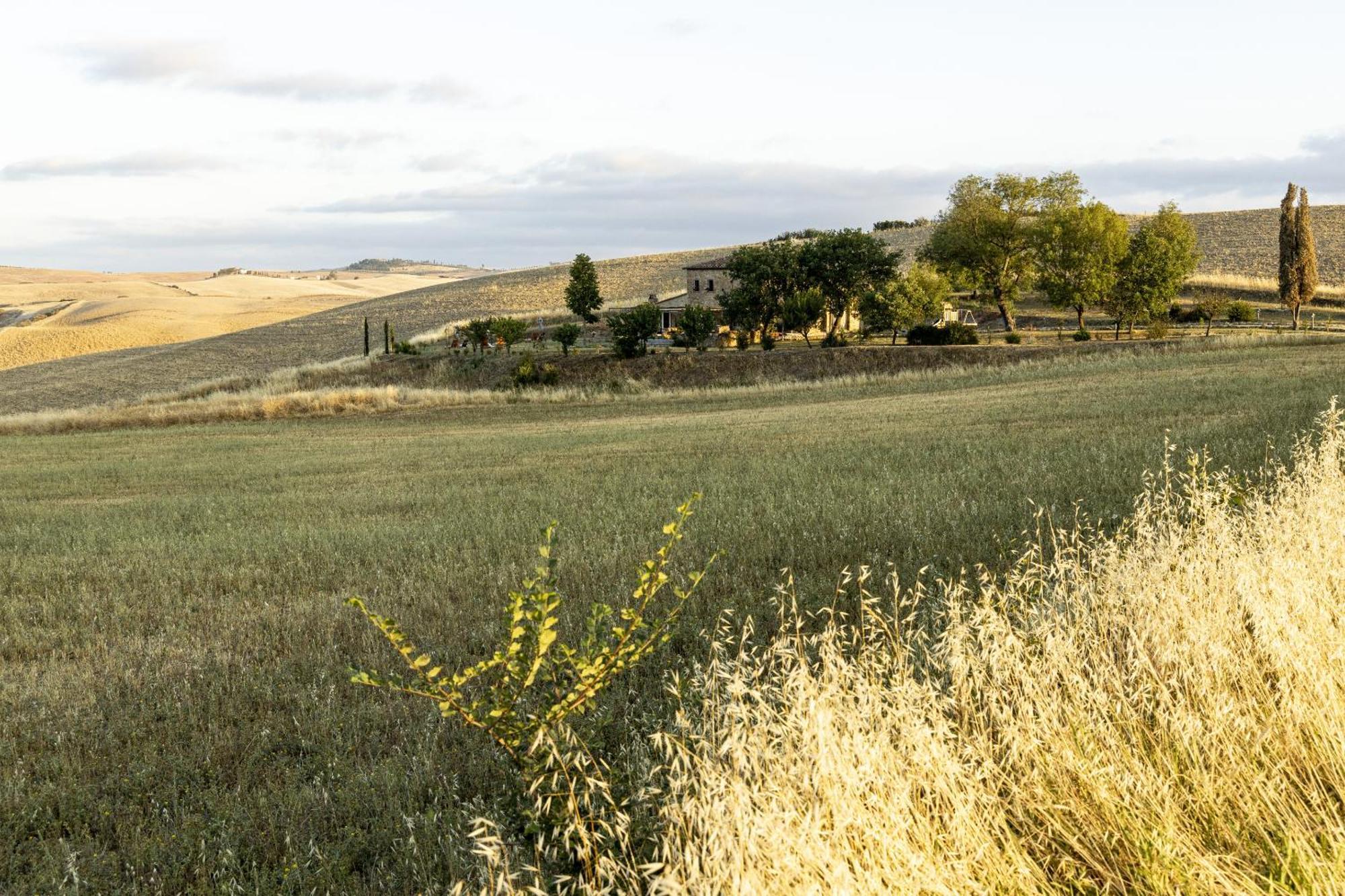 Vento D'Orcia Villa Pienza Exteriör bild