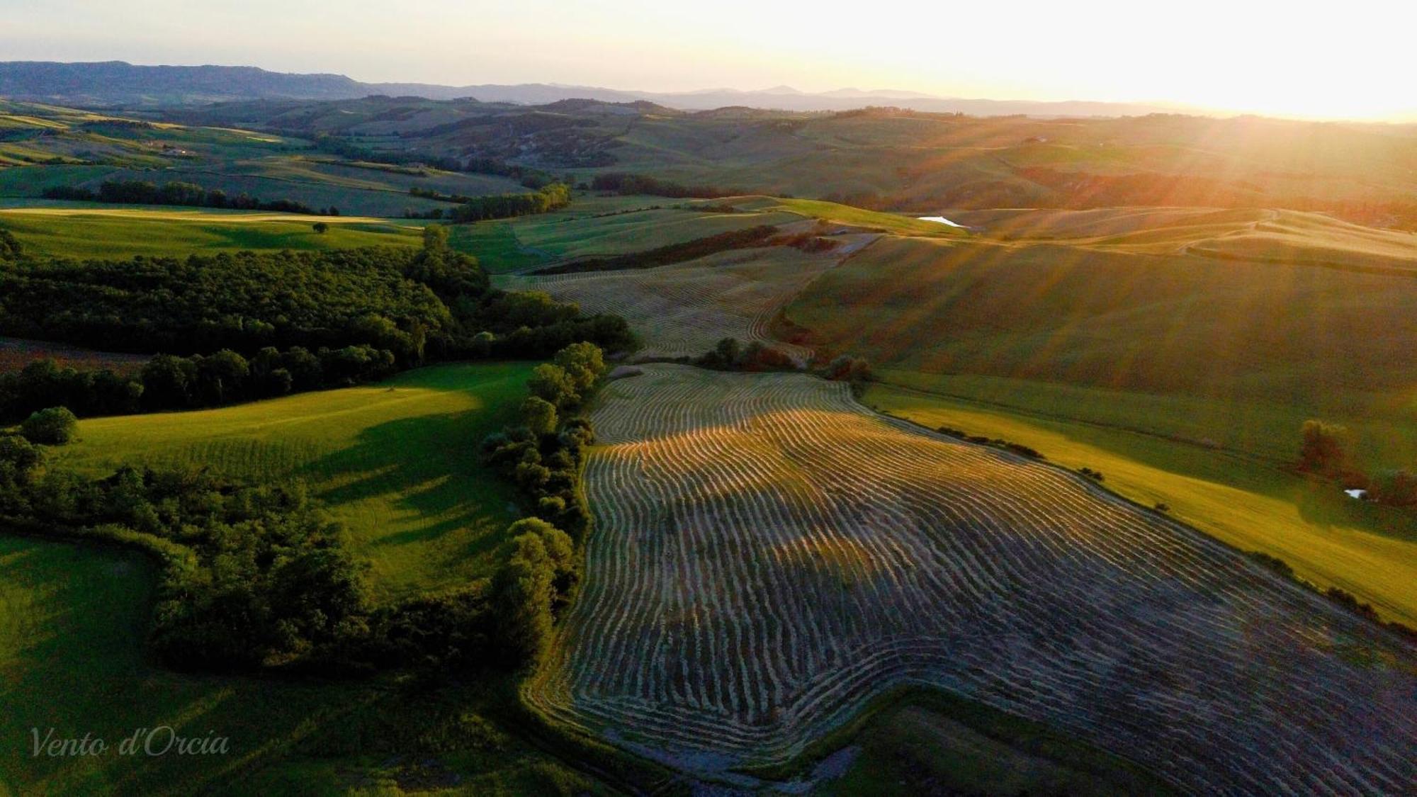 Vento D'Orcia Villa Pienza Exteriör bild